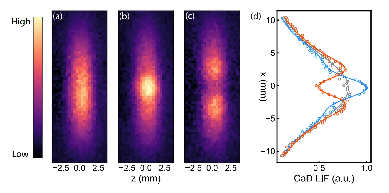 Measured transverse profiles of the cold CaH molecular beam.
