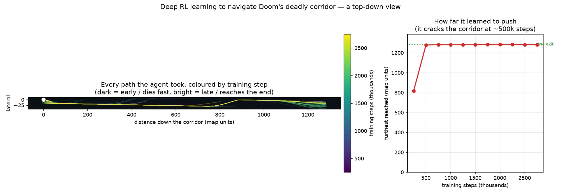 A “God view” of learning to navigate the deadly corridor. ViZDoom gives the agent’s exact (x, y) every frame, so each training checkpoint is replayed and its paths drawn from above. Dark (early) paths die at the spawn; bright (late) paths run the full length of the corridor to the exit. The right panel shows it “cracks” the corridor around 500k steps — learning shown in space, not just a score.